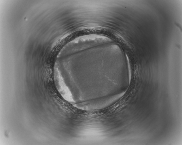 X0000102250822200808151815