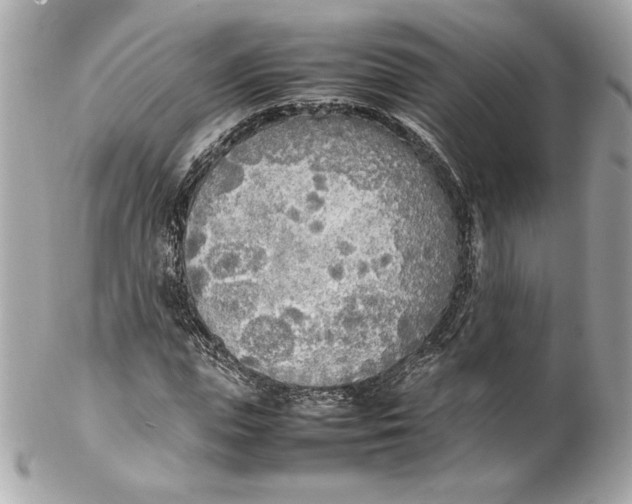 X0000102250823200808151815