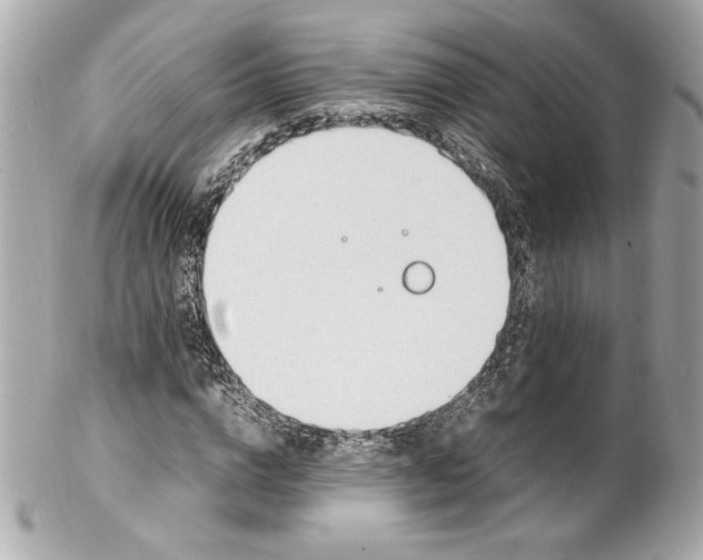 X0000102250824200808151815