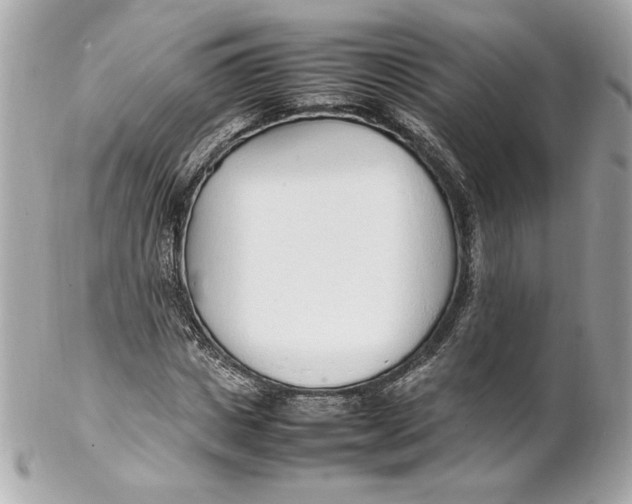 X0000102250825200808151815