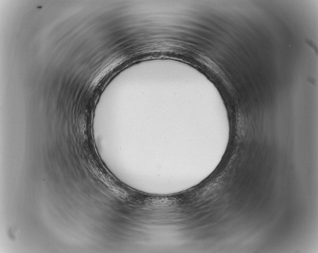 X0000102250826200808151815