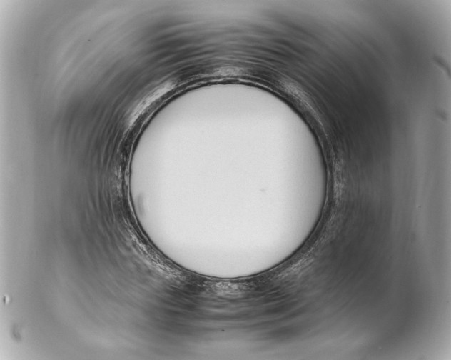 X0000102250827200808151815