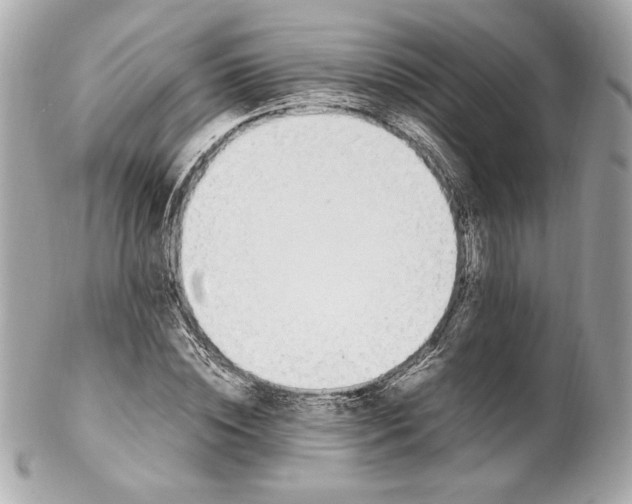 X0000102250828200808151815