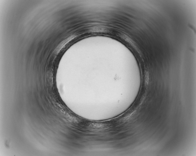 X0000102250829200808151815