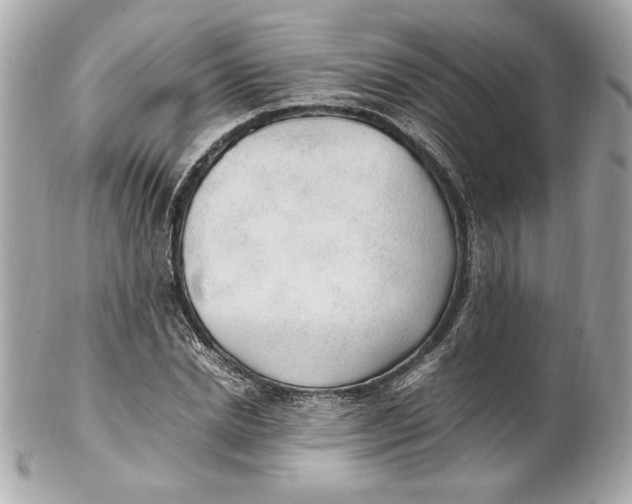 X0000102250830200808151815