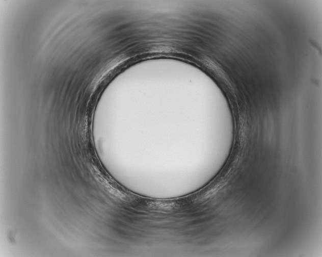 X0000102250831200808151815