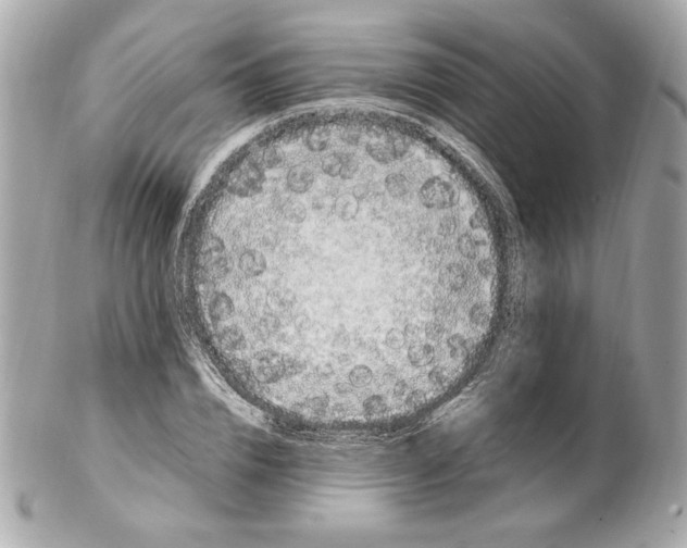 X0000102250832200808151815