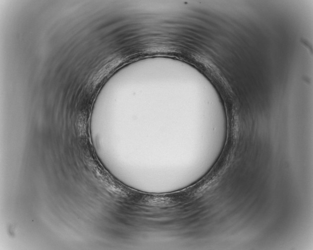 X0000102250833200808151815