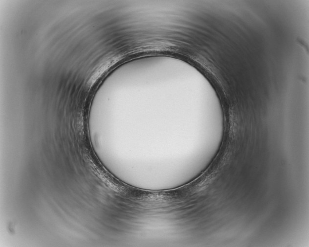 X0000102250834200808151815