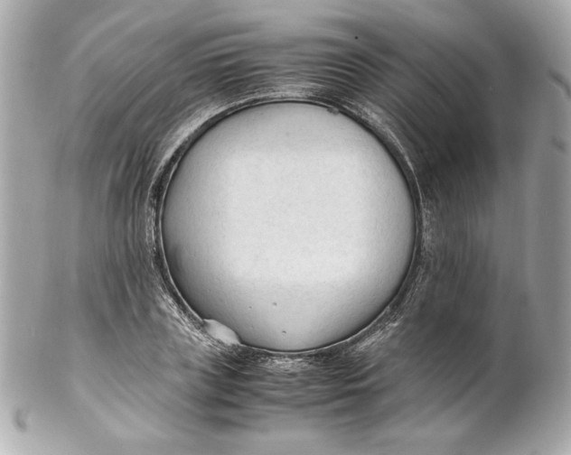 X0000102250835200808151815