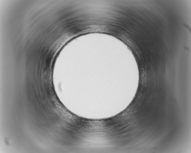 X0000102250836200808151815