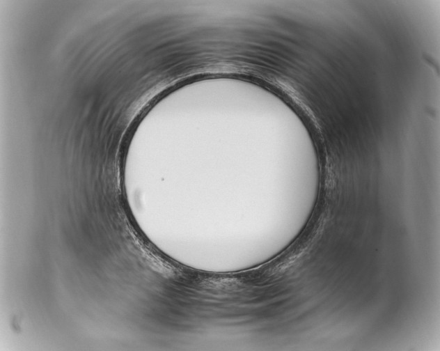 X0000102250837200808151815