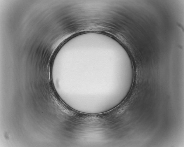 X0000102250838200808151815