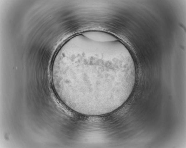 X0000102250840200808151815