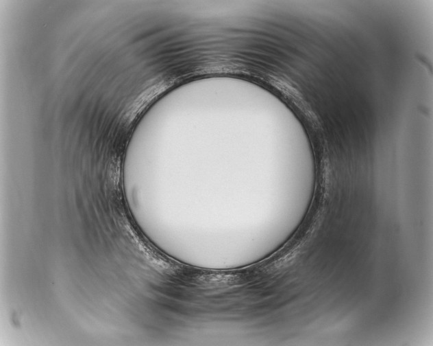 X0000102250841200808151815