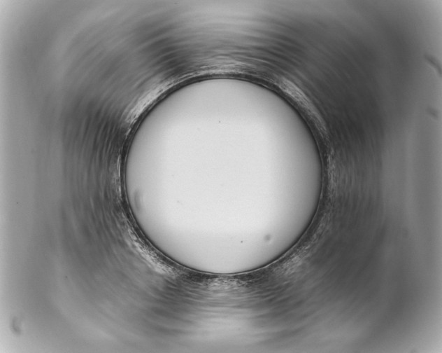 X0000102250842200808151815