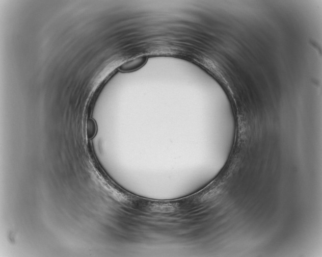 X0000102250843200808151815