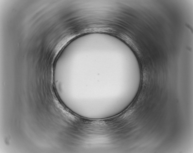 X0000102250844200808151815