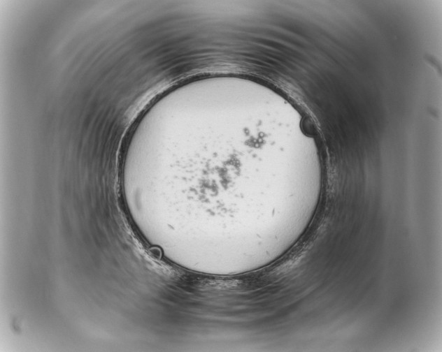 X0000102250845200808151815