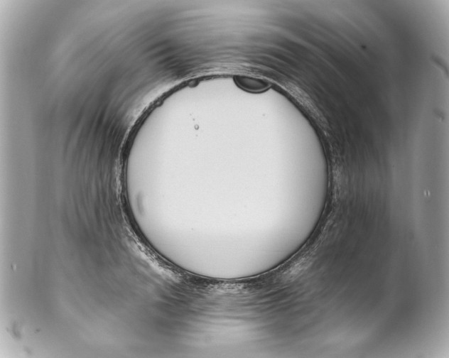 X0000102250846200808151815