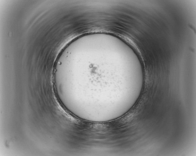 X0000102250847200808151815