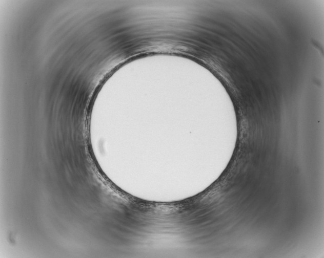 X0000102250848200808151815