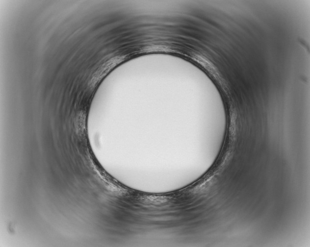 X0000102250849200808151815