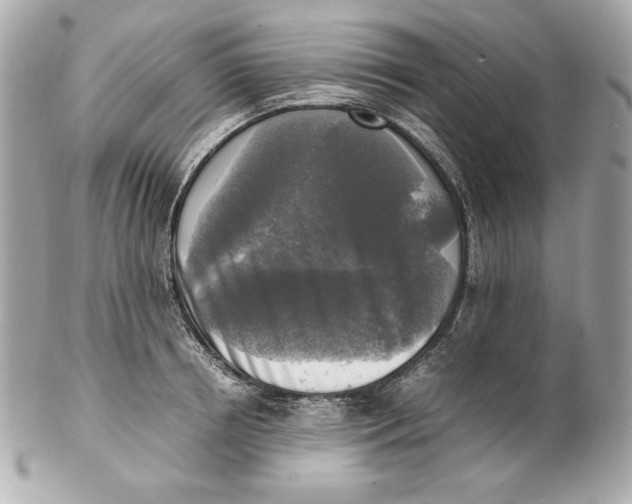 X0000102250850200808151815