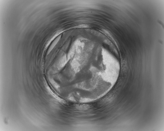 X0000102250851200808151815