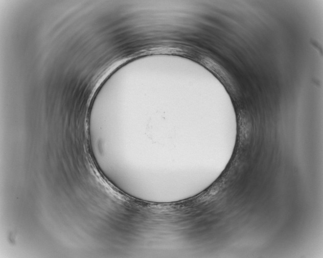 X0000102250852200808151815