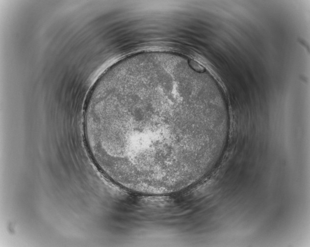 X0000102250853200808151815