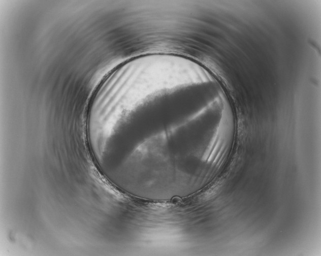 X0000102250854200808151816