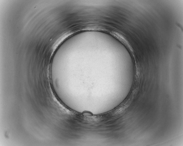 X0000102250855200808151816