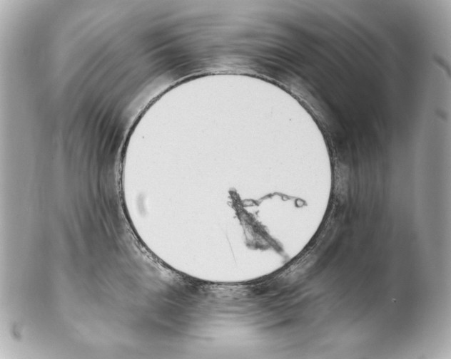 X0000102250856200808151816