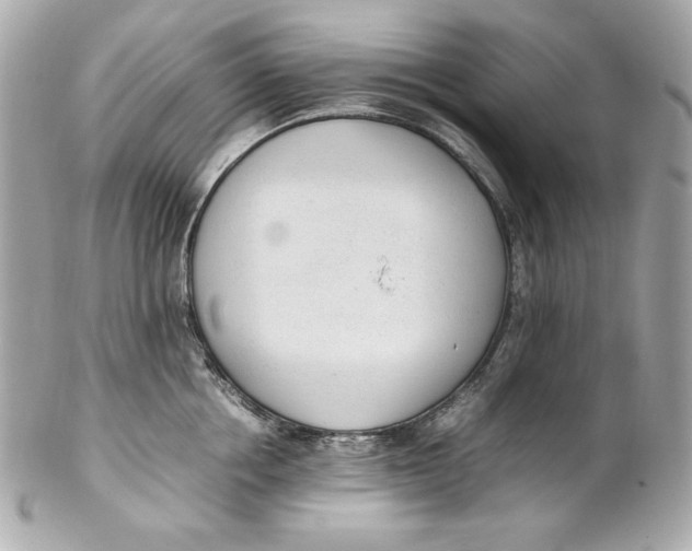 X0000102250858200808151816