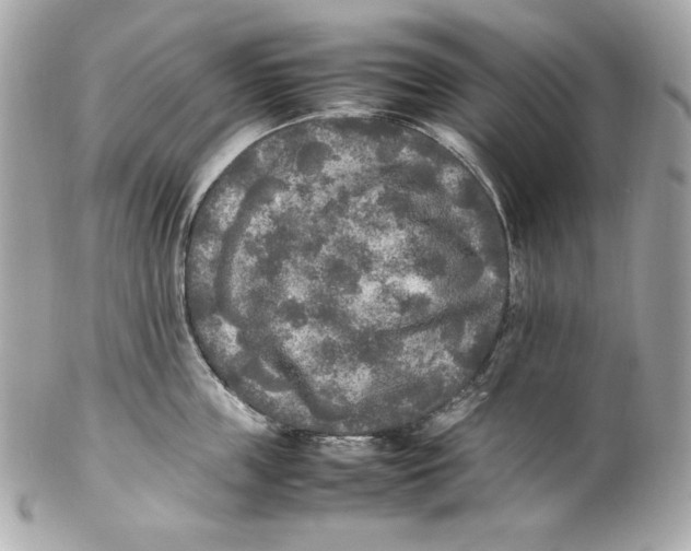 X0000102250859200808151816