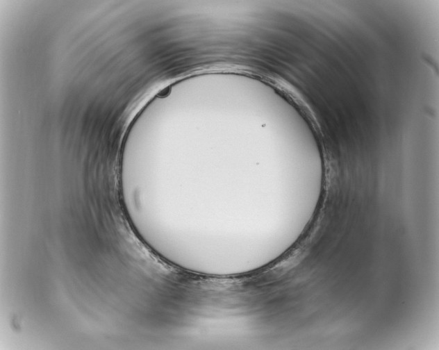 X0000102250860200808151816