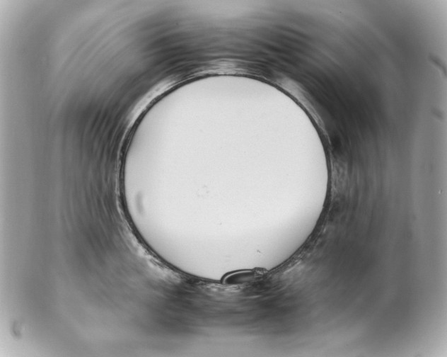 X0000102250861200808151816