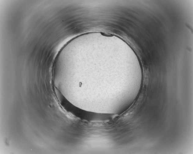 X0000102250862200808151816