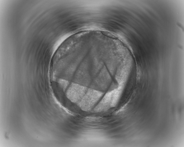 X0000102250863200808151816