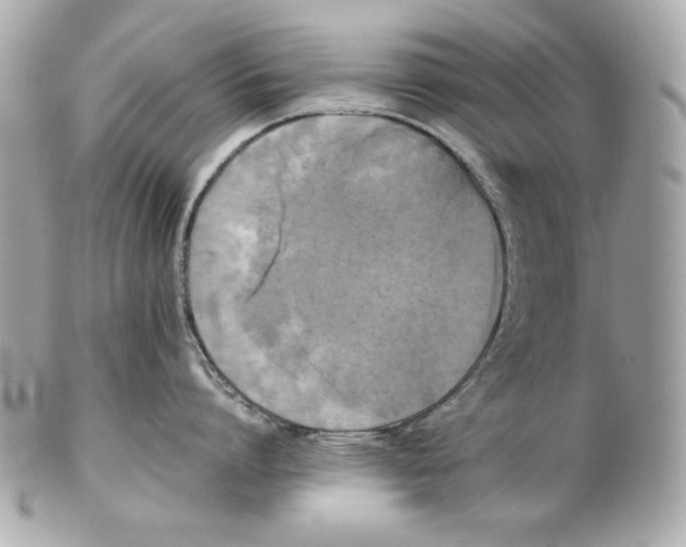 X0000102250864200808151816