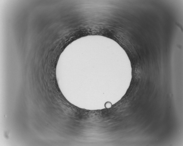 X0000102250865200808151815