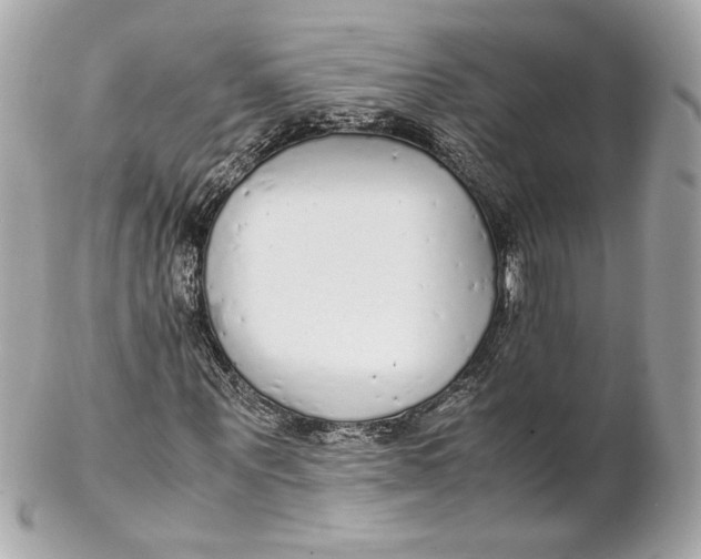 X0000102250867200808151815