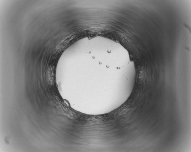 X0000102250868200808151815