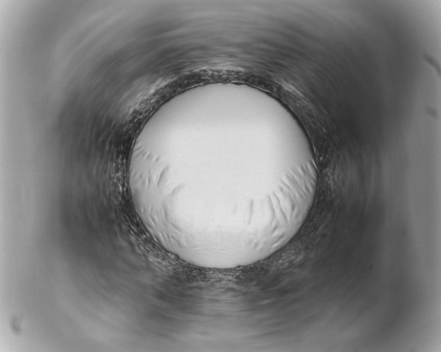 X0000102250870200808151815