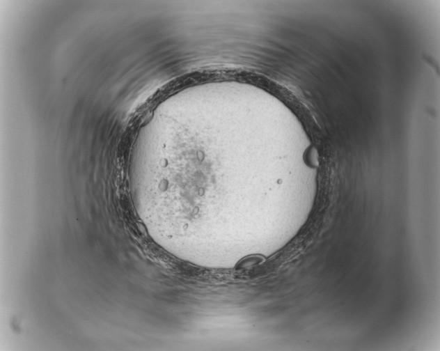 X0000102250871200808151815