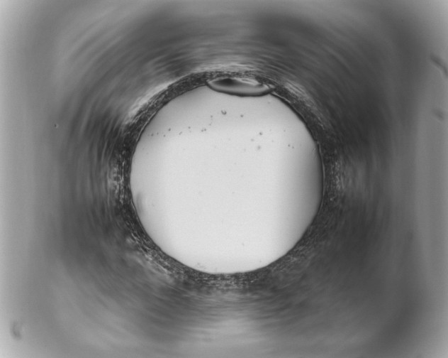 X0000102250872200808151815