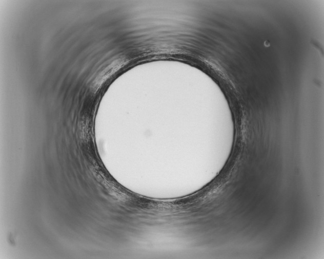 X0000102250873200808151815