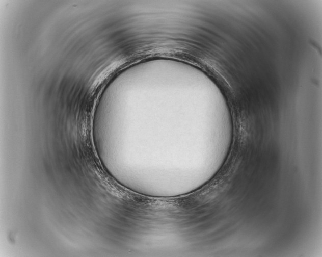 X0000102250874200808151815