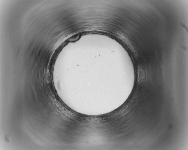 X0000102250876200808151815